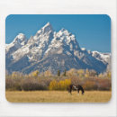 Search for moose mousepads Blue