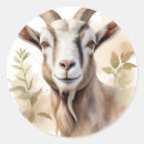 Search for goat head stickers Animal
