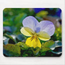 Search for viola electronics Green