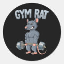 Search for gym rat stickers Bodybuilding
