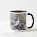 Search for sea gull mugs Nature