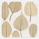 Search for botanical drawing stickers Vintage