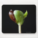 Search for vertical mousepads Studio shot