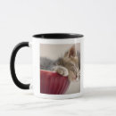 Search for sleeping kitten mugs Animal body part