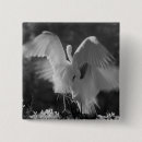 Search for alba badges Black and white