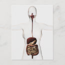 Search for digestion postcards Duodenum