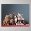 Search for group of animals posters Pet