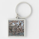 Search for basin key rings Usa