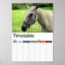 Search for wild stallion art Farm
