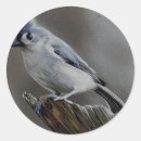 Search for grace stickers Nature