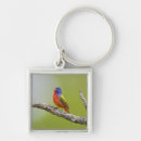Search for birds of texas key rings Nature