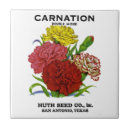 Search for carnation tiles Garden