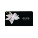 Search for magnolia blossoms return address labels White