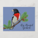 Search for black and white rose postcards Red