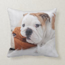 Search for english bulldog cushions Puppy