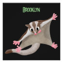 Search for sugar glider posters For kids