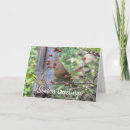 Search for blank christmas cards Berries