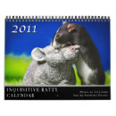 Search for cute rats photography Mouse