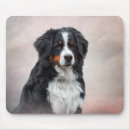 Search for bernese mountain dog mousepads Canine