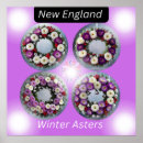 Search for aster art Floral