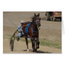 Search for standardbred Bay