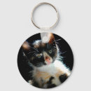 Search for cute kitties image key rings Animal