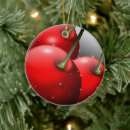 Search for healthy christmas tree decorations Fresh