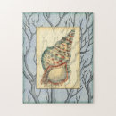 Search for seashell puzzles Coral