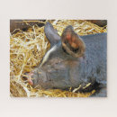 Search for pig puzzles Adorable