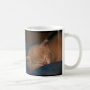 Search for ginger humor mugs Kitten
