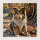 Search for rough collie puzzles Puppy