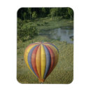 Search for preserve magnets Kenya