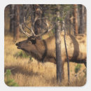 Search for ungulate stickers Deer