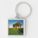 Search for lonely tree key rings Colourful