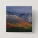 Search for fall winter badges Autumn