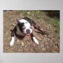 Search for tired dog art Cute