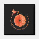 Search for hummingbird magnets Orange
