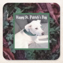 Search for scarf coasters Puppy