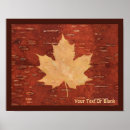 Search for birch bark posters Rustic