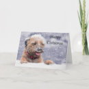 Search for border terrier christmas cards Terriers