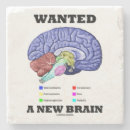Search for brain coasters Anatomy