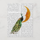 Search for moon cat postcards Animals