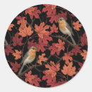 Search for robin stickers Hand painted