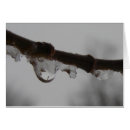 Search for freezing photography Winter