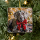 Search for weimaraner christmas tree decorations Canine