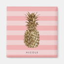 Search for pineapple magnets Cute