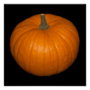 Search for thanksgiving posters Food