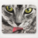 Search for licking mousepads Animal