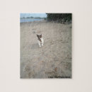 Search for russell puzzles Animal
