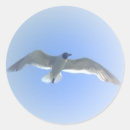 Search for flight stickers Summer